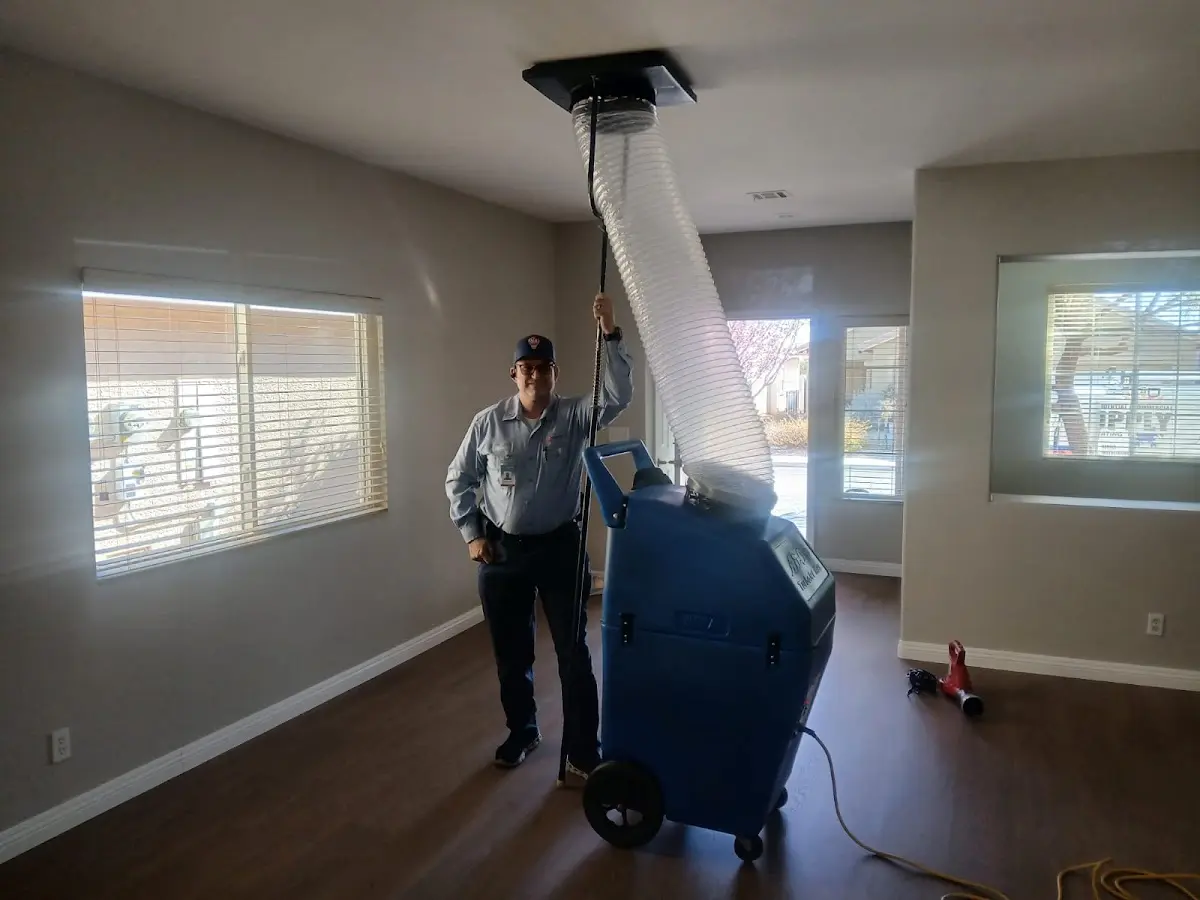 Professional Dryer Vent Cleaning work inside a Kings Park West home